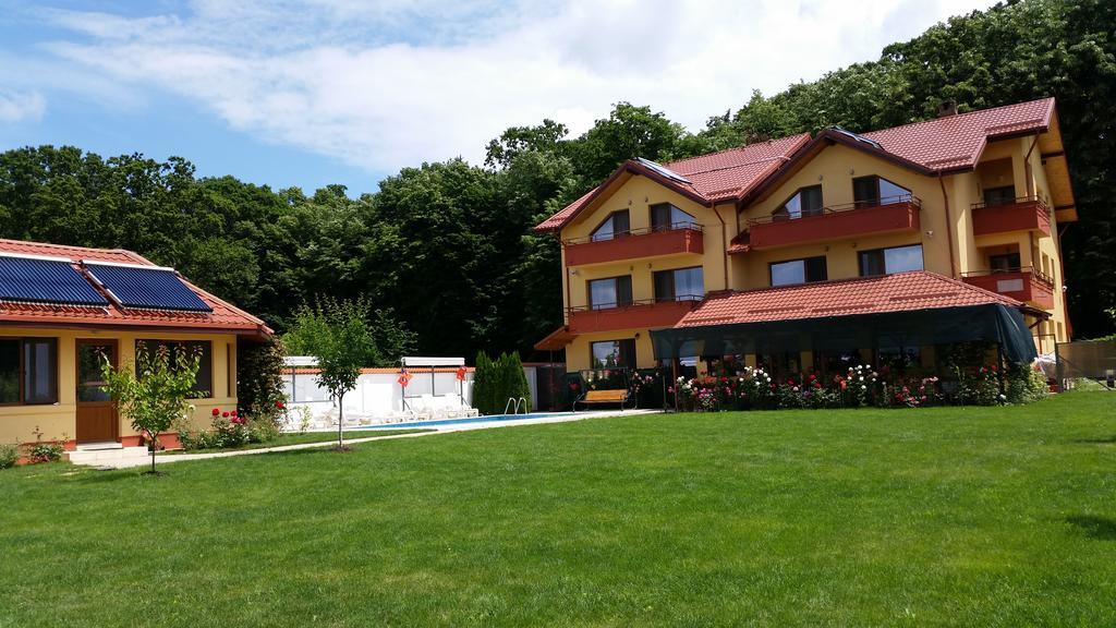 Vila Maria Snagov Hotel Ngoại thất bức ảnh
